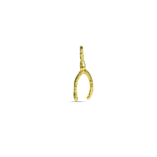 Wishbone Luck Charm