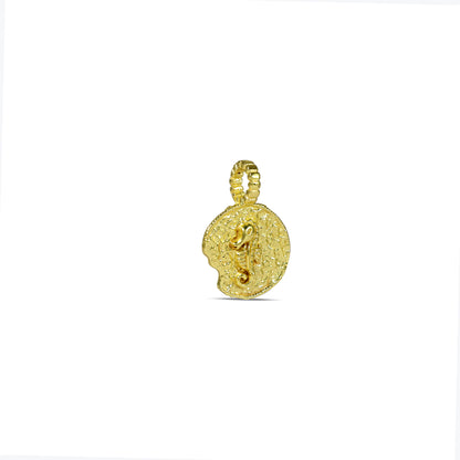 Seahorse Charm