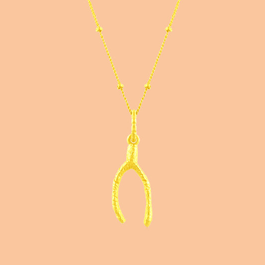 Scraggy Wishbone Luck Necklace