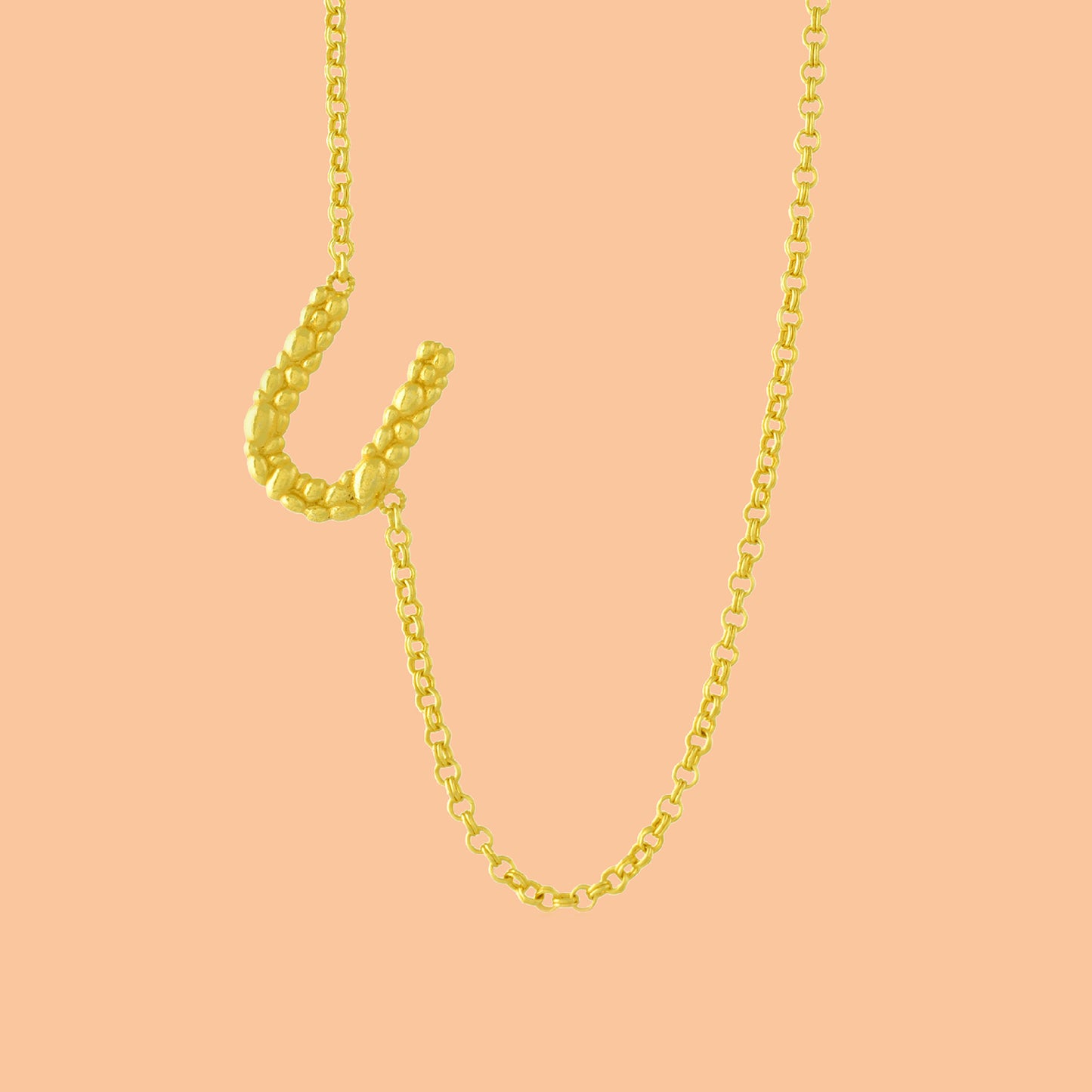 Initial Chain Monogram Necklace